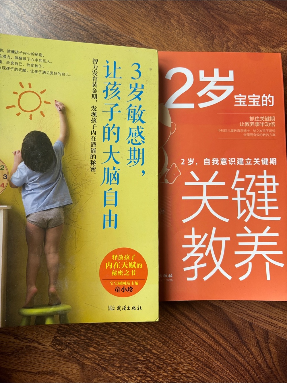 Key Parenting Strategies for Two-Year-Olds

副标题“2岁，自我意识建立关键期”可以翻译为：

Age Two: A